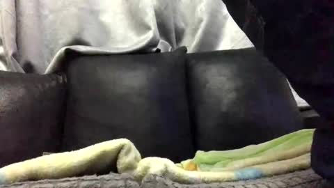 Babu online show from 02-10-26, 02:15