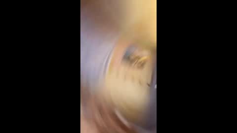 Gunman online show from 02-15-26, 10:50