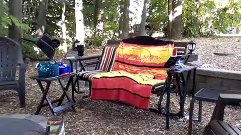 PINK HOLE TWINK online show from 09-14-25, 08:52