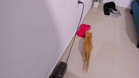 Rihanna hotx online show from 12-21-25, 03:35