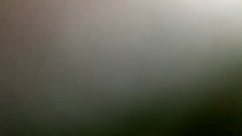 rimzari136 online show from 04-04-26, 04:26