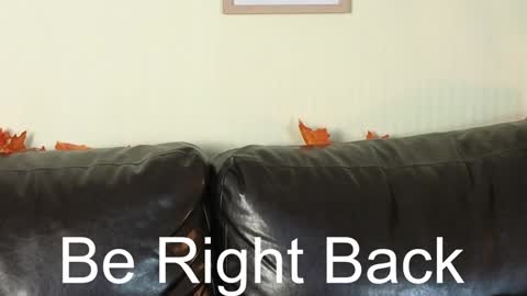 Snapshot of risky_dream chatting on 12-13-24, 11:02 Alice online show from 12-13-24, 11:02