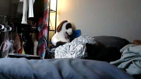 Snapshot of riversaint chatting on 03-11-25, 11:04 River Saint online show from 03-11-25, 11:04