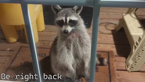 Ryan aka KeylimeRy online show from 12-04-25, 07:33