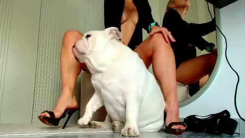 Sasha online show from 04-14-26, 07:14