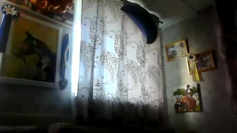 rob18997 online show from 11-16-25, 10:54