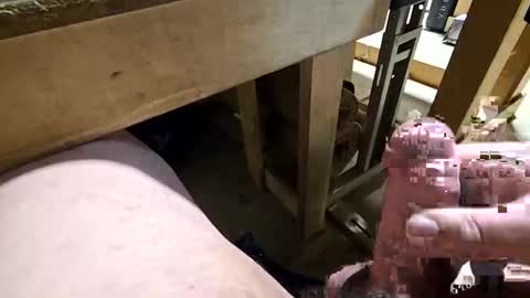 robbiebob6828 online show from 01-14-26, 11:31