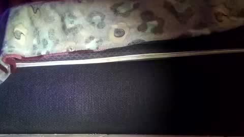 robert227818 online show from 11-08-25, 06:13