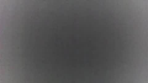 roberttocumcum online show from 02-19-26, 09:11