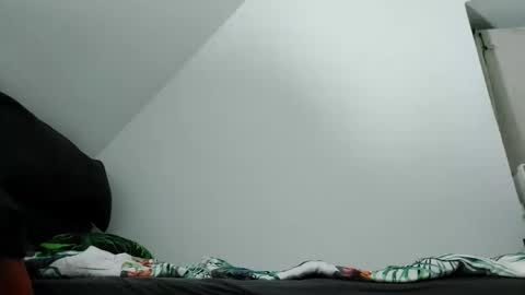 Snapshot of robertxxxpo chatting on 10-02-25, 09:33 Zenek online show from 10-02-25, 09:33