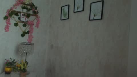 robin D online show from 02-02-26, 01:10