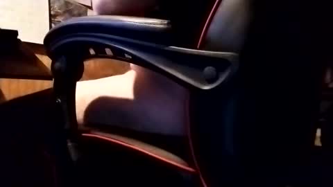 Snapshot of robonuts2004 chatting on 11-20-25, 06:35 Robo Nuts online show from 11-20-25, 06:35