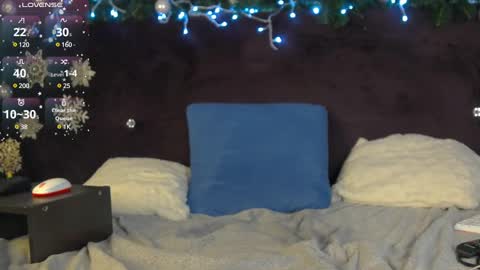 Snapshot of roddy_riss chatting on 12-27-24, 04:54 Roddy online show from 12-27-24, 04:54