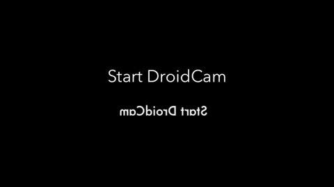 rojobob online show from 11-04-25, 01:05