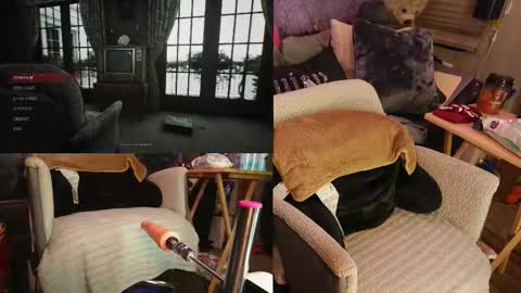 Snapshot of roknblaze chatting on 11-27-25, 02:35 Rok-N-Blaze online show from 11-27-25, 02:35