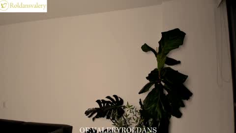 Valery Roldans online show from 02-05-25, 02:51