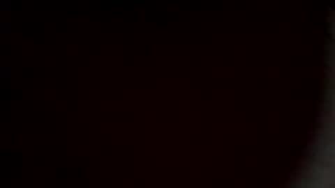 rooster2024 online show from 03-03-26, 12:55