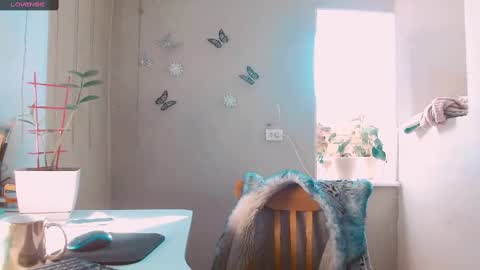 rosa843850 online show from 01-05-25, 11:48