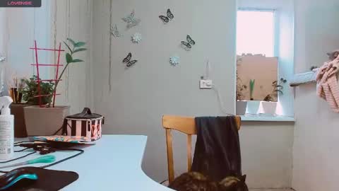 rosa843850 online show from 02-02-25, 02:13