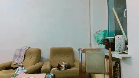 rosa843850 online show from 02-28-25, 01:47