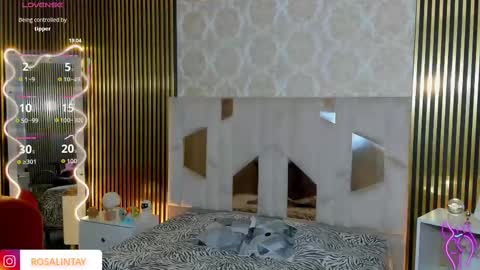 Snapshot of rosalind_tay chatting on 09-14-25, 11:42 ROSALIN online show from 09-14-25, 11:42