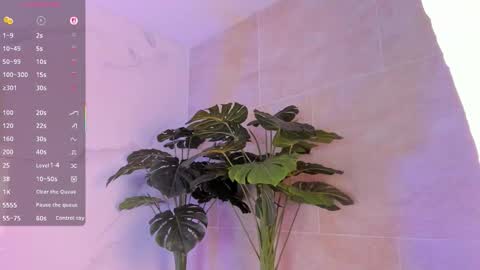 rosary_waith_ online show from 09-13-25, 04:45