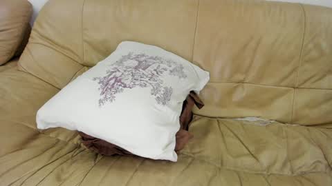 Rosa online show from 01-28-25, 12:26