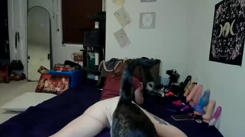 Rose Hatter online show from 12-03-24, 10:29