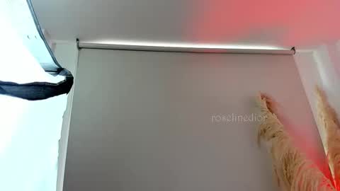 Lyla OF roselinedior online show from 09-11-25, 02:39