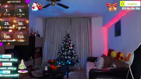 Abbygail online show from 12-28-24, 12:47