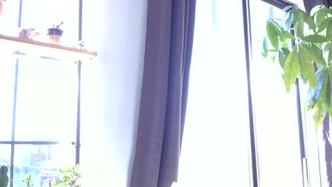 RossCollab online show from 01-19-26, 01:26