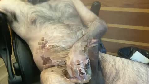 Snapshot of rotoball007 chatting on 01-30-25, 08:31 rotoball007 online show from 01-30-25, 08:31