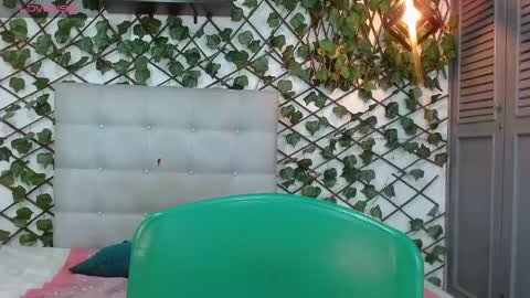 Snapshot of rous_55 chatting on 12-27-24, 02:58 Rous online show from 12-27-24, 02:58