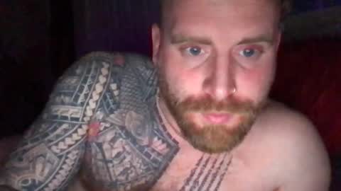 Snapshot of royalpain420 chatting on 04-14-26, 03:34 Royal Menace online show from 04-14-26, 03:34