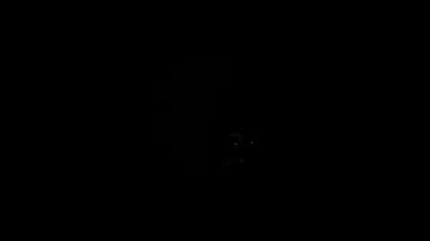 royce888 online show from 11-16-25, 05:24