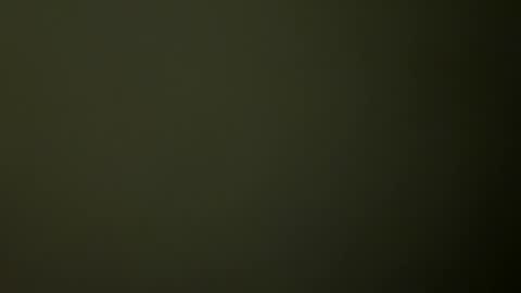 Snapshot of rsxxx130 chatting on 02-19-25, 02:33 ireneTxCD online show from 02-19-25, 02:33