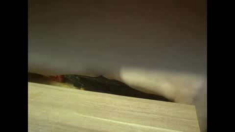 Snapshot of ruber416966 chatting on 10-31-25, 08:26 ruber416966 online show from 10-31-25, 08:26