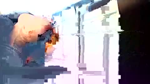 rushover63 online show from 03-03-25, 10:49