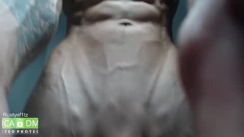 MillionDollarGuy online show from 10-23-25, 05:29