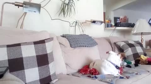 Snapshot of rustyx22 chatting on 03-08-25, 06:58 Rusty online show from 03-08-25, 06:58