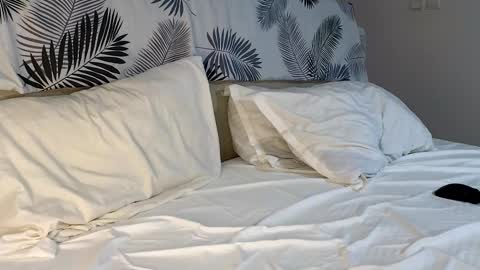 ryanstorm1 online show from 02-07-26, 04:54