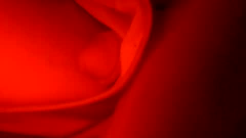 ryucravenmore online show from 10-05-25, 01:09