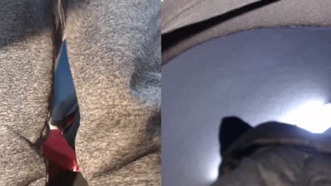 Ryushi009 online show from 01-21-25, 05:38