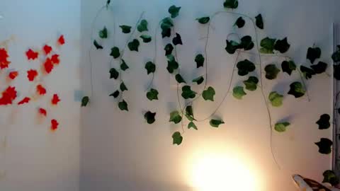 SABRI online show from 01-28-25, 12:11