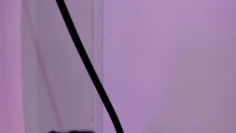 Sabrina Warren online show from 01-23-25, 05:52