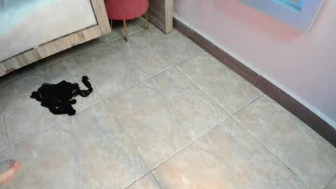 Sabrina Warren online show from 02-13-25, 11:50