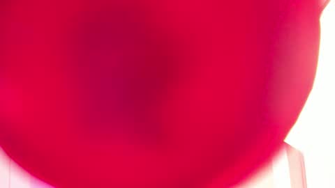 Sabrina Warren online show from 02-27-25, 11:41