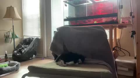 Snapshot of sabrosocockcarnesandwich chatting on 10-05-25, 02:59 sabrosocockcarnesandwich online show from 10-05-25, 02:59