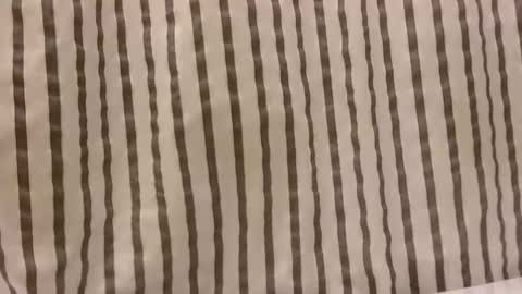 Dee online show from 10-29-25, 01:13