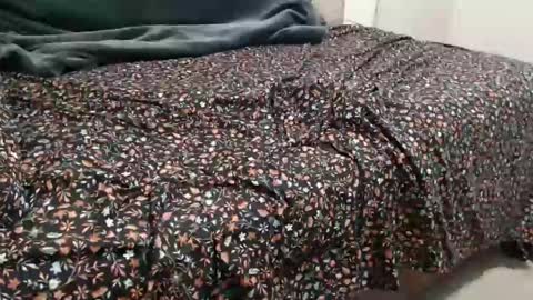 dadbod online show from 12-15-24, 08:04